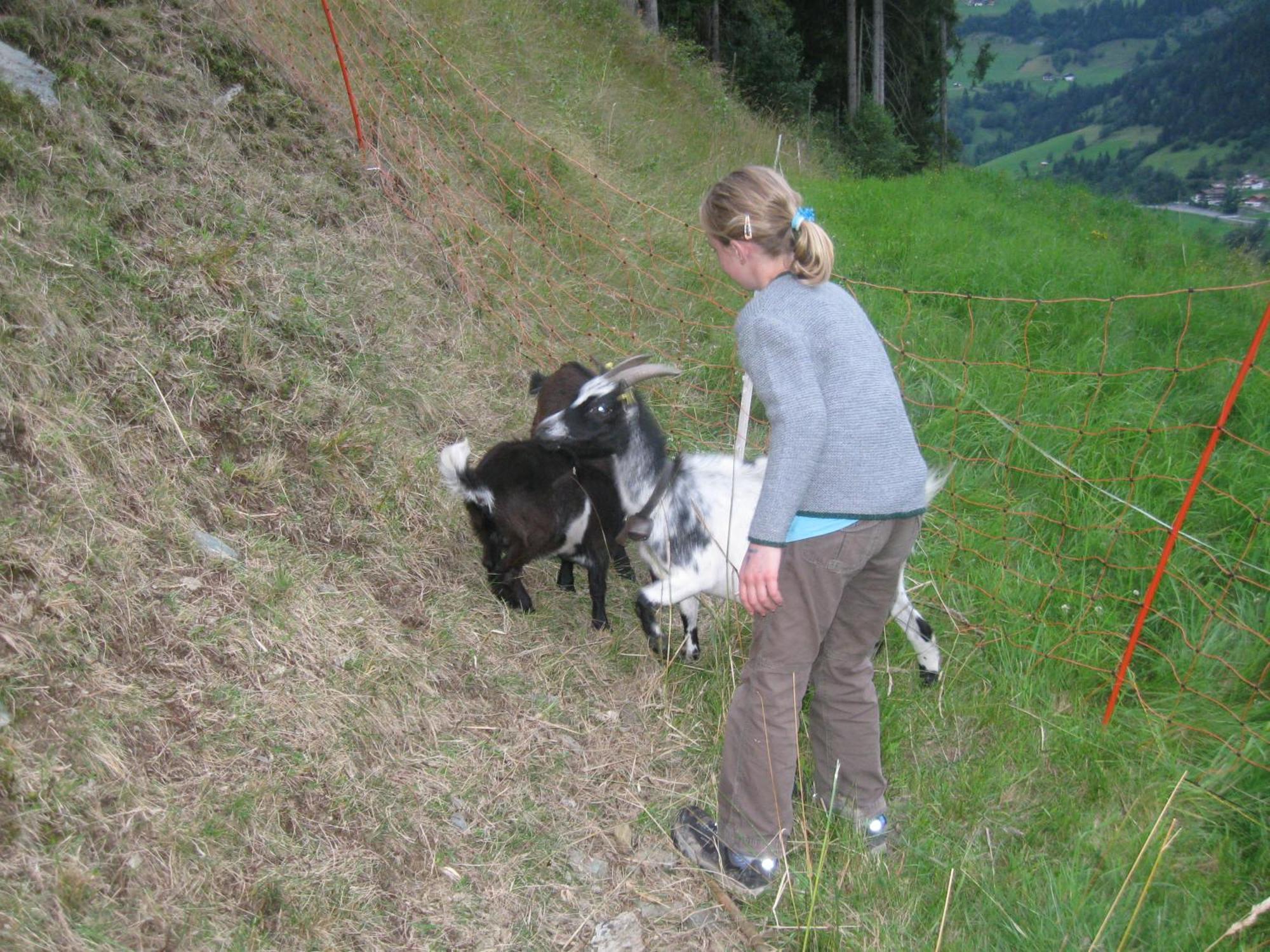 Schaidreithof Grossarl Esterno foto