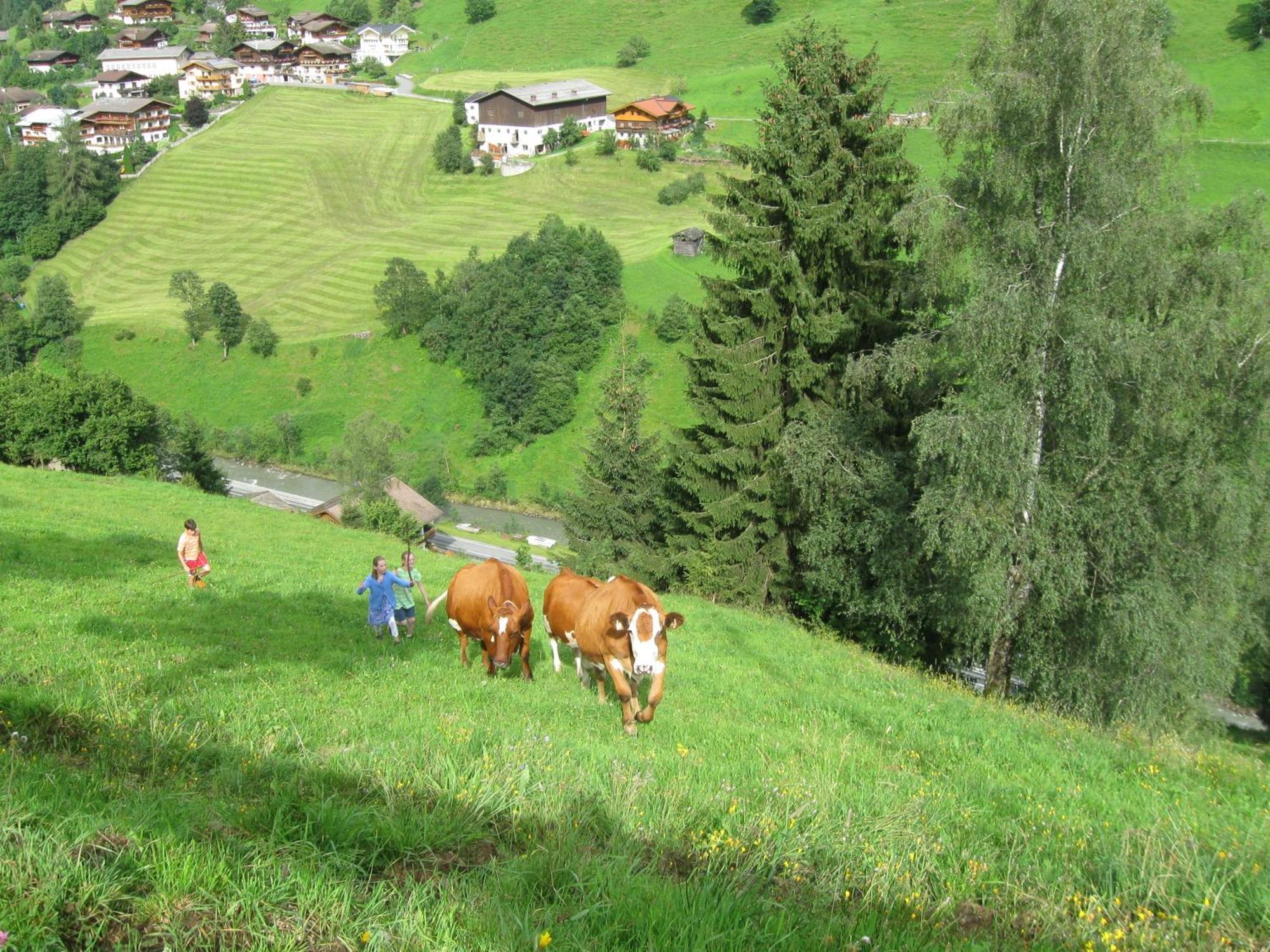 Schaidreithof Grossarl Esterno foto