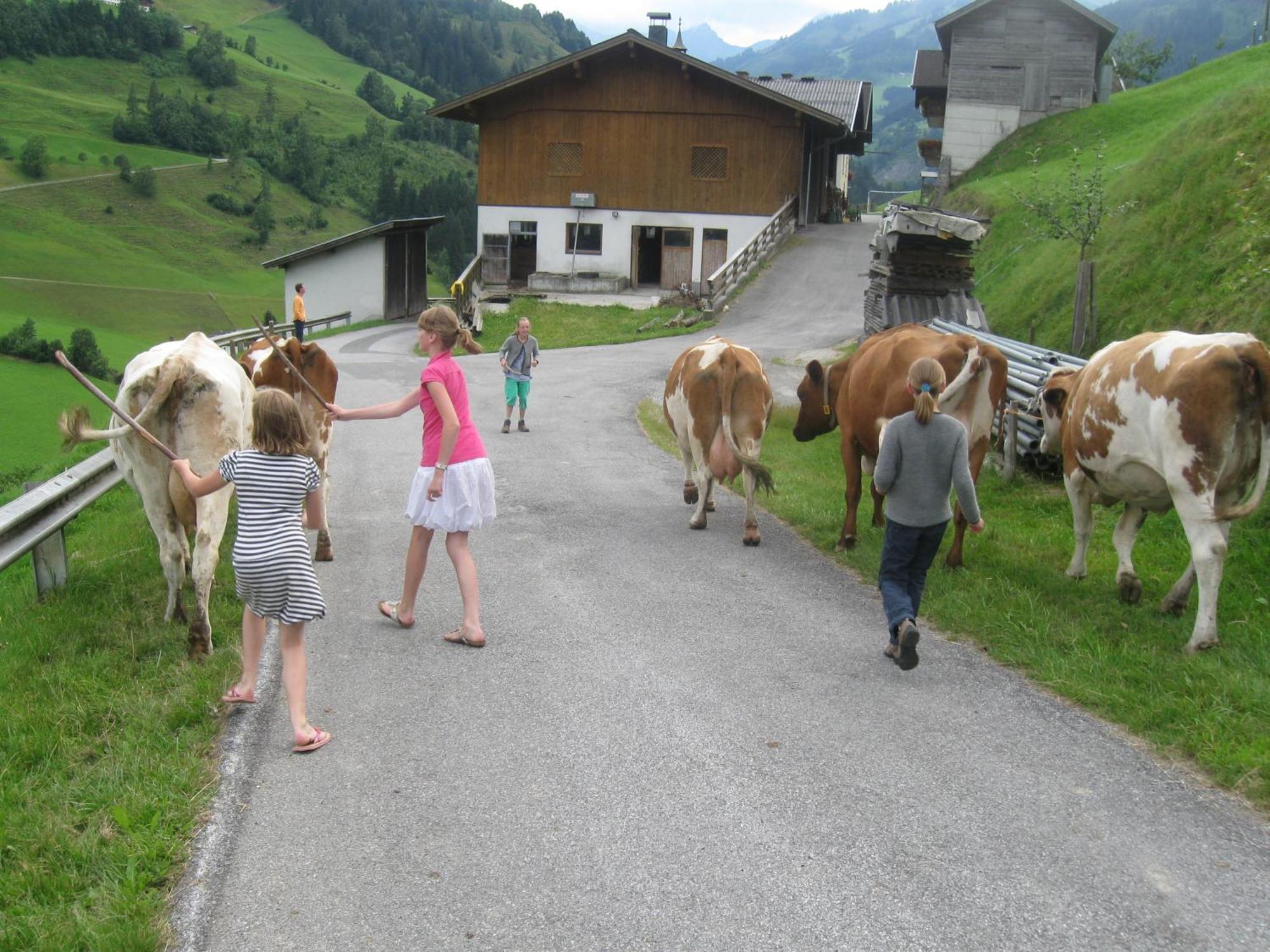 Schaidreithof Grossarl Esterno foto