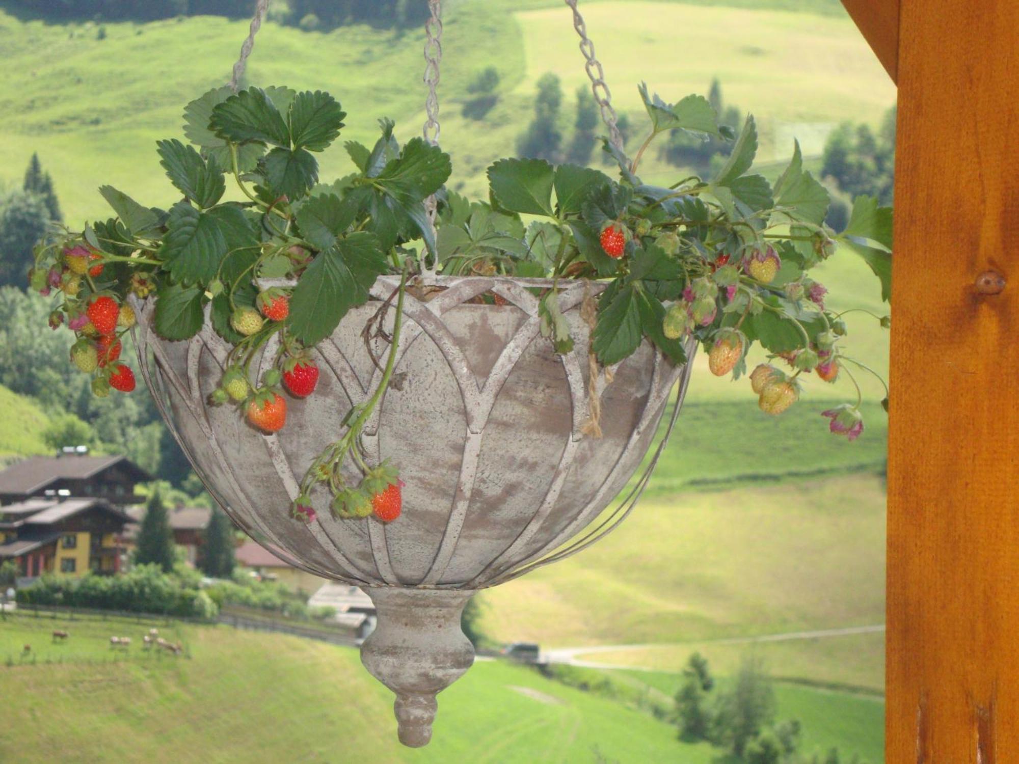 Schaidreithof Grossarl Esterno foto