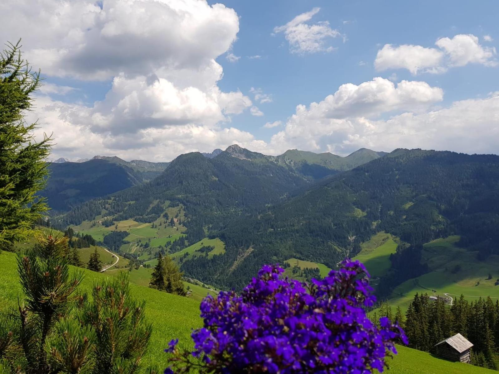 Schaidreithof Grossarl Esterno foto