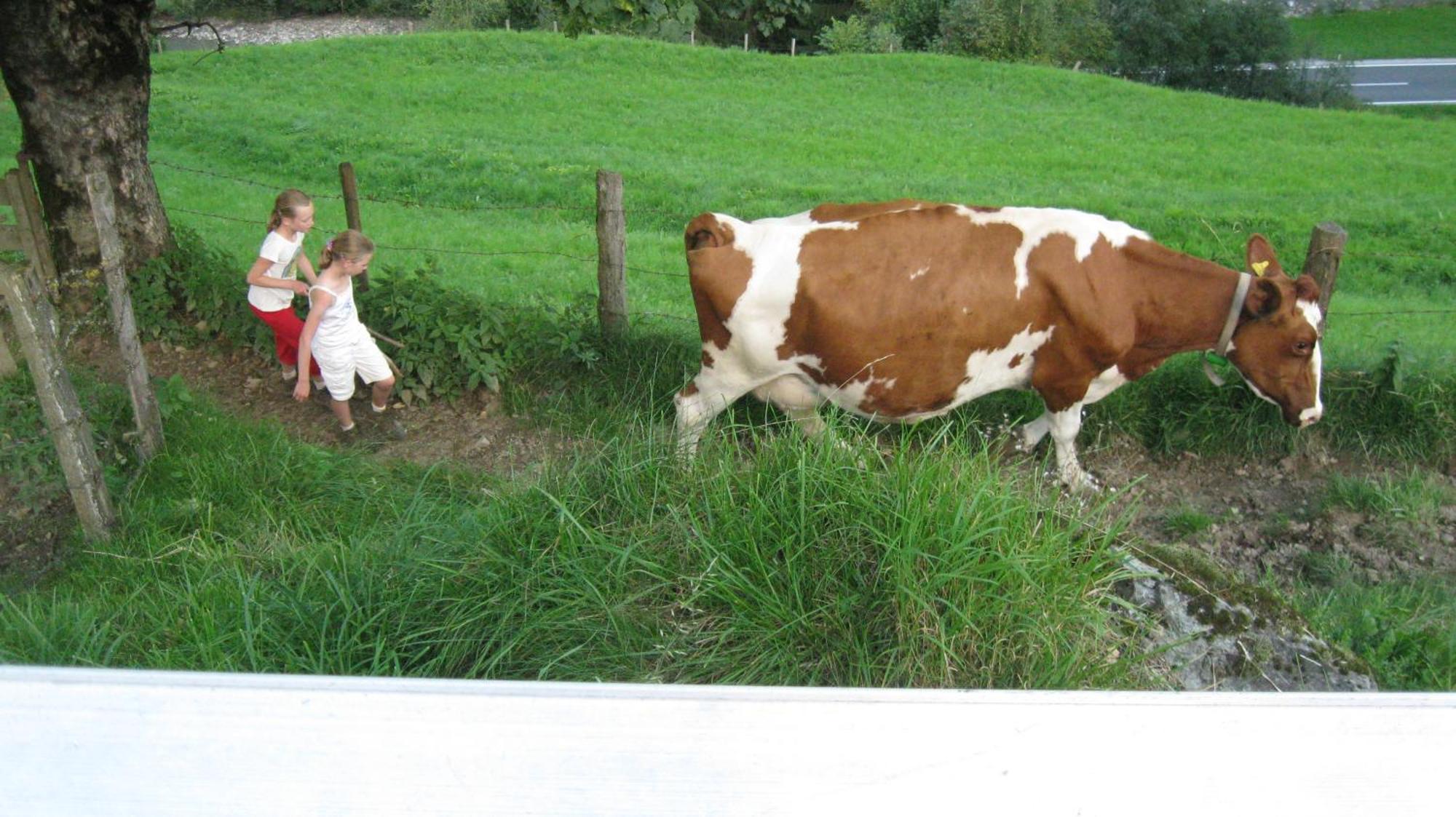 Schaidreithof Grossarl Esterno foto